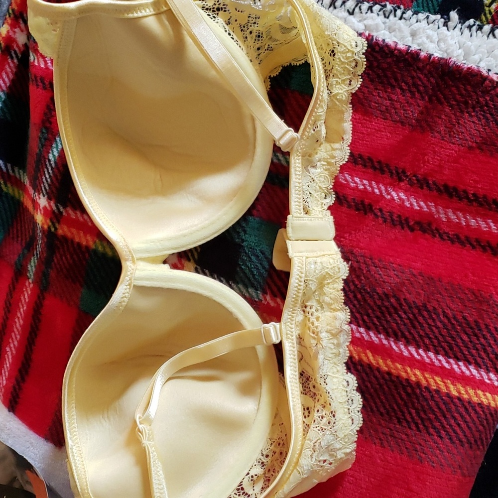 padded bra - Picture 3 of 6